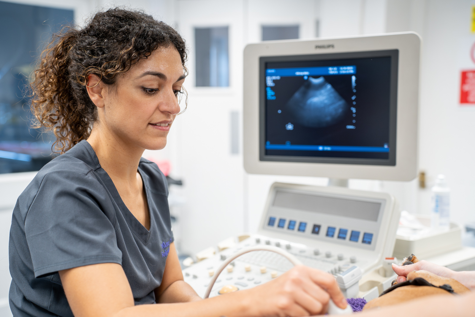 A healthcare professional in grey scrubs performs an ultrasound examination on a patient. She is using an ultrasound machine that displays a scan image on its screen. The setting looks like a medical examination room.
